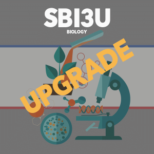 Upgrade SBI3U
