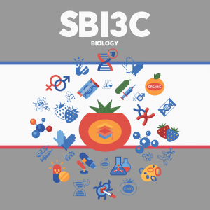 SBI3C