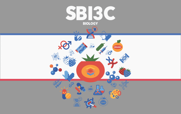 SBI3C