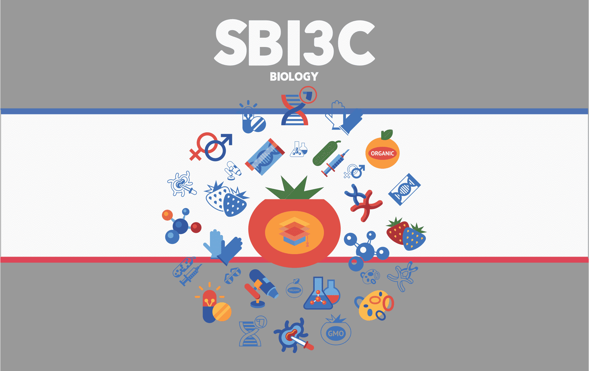 SBI3C